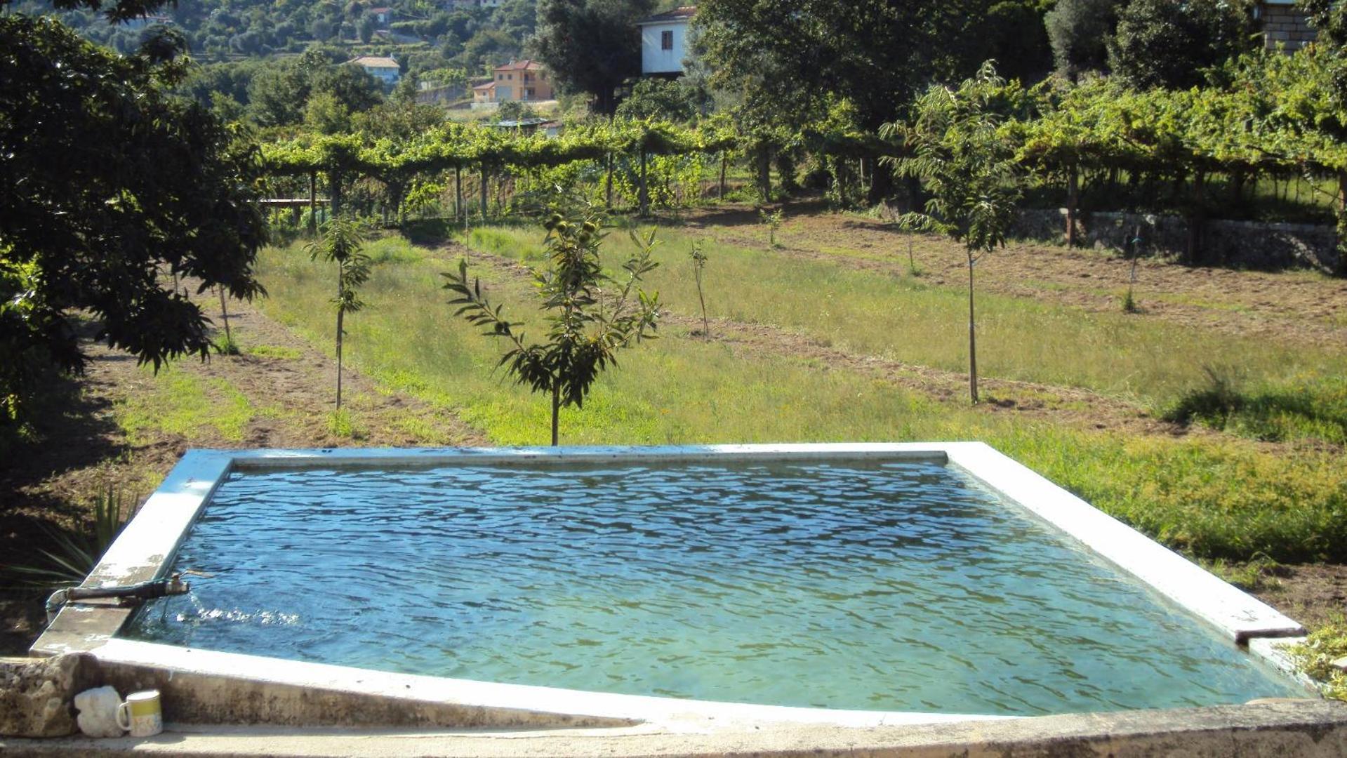 Alojamento Rodrigues Arcos de Valdevez Ngoại thất bức ảnh